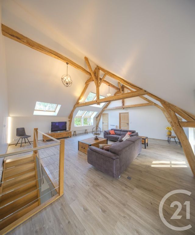 Maison à vendre - 16 pièces - 800 m2 - Aulnay La Riviere - 45 - CENTRE