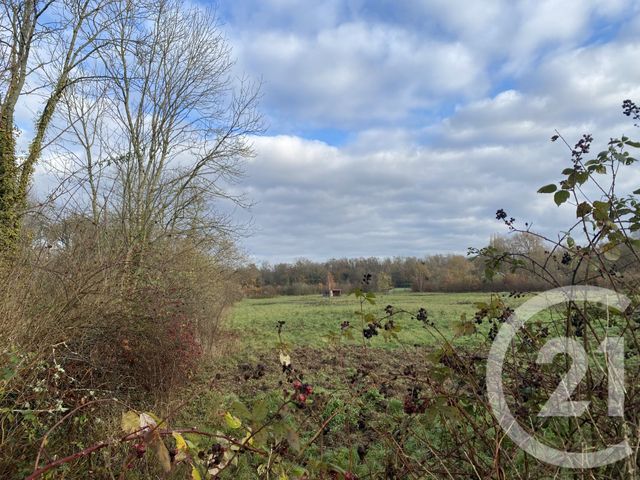 Terrain à vendre - 3013 m2 - Barbizon - 77 - ILE-DE-FRANCE