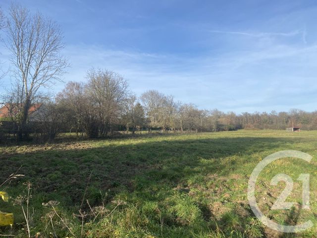 Terrain à vendre - 3013 m2 - Barbizon - 77 - ILE-DE-FRANCE