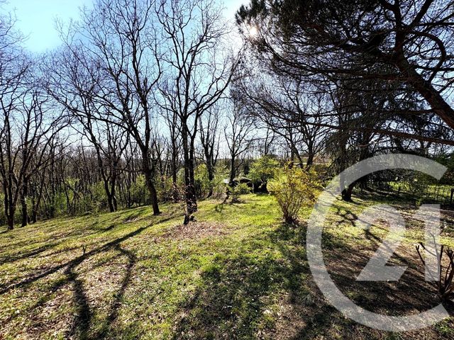 Maison &agrave; louer - 5 pi&egrave;ces - 160,35 m2 - Tournefeuille - 31 - MIDI-PYRENEES