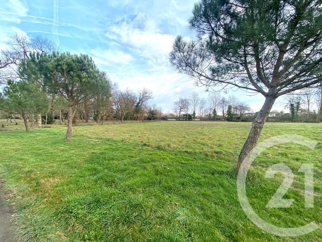 Maison &agrave; louer - 5 pi&egrave;ces - 139,17 m2 - Frouzins - 31 - MIDI-PYRENEES