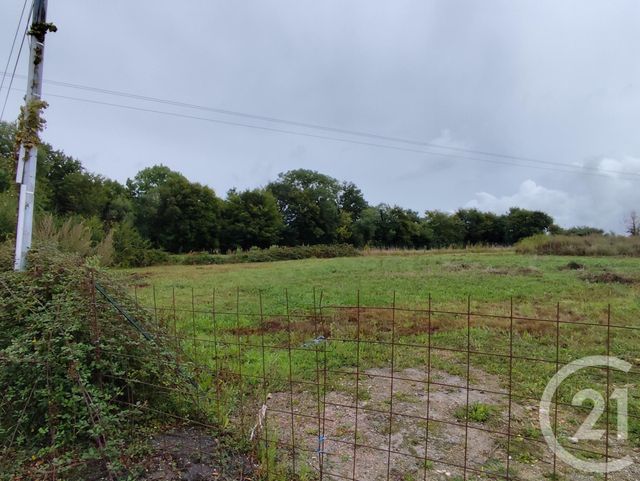 Terrain &agrave; vendre - 3300 m2 - Argentan - 61 - BASSE-NORMANDIE