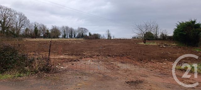 Terrain &agrave; vendre - 3300 m2 - Argentan - 61 - BASSE-NORMANDIE