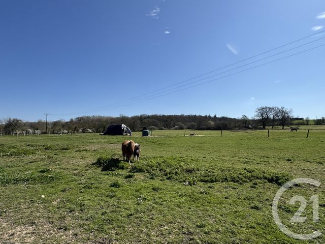 Maison &agrave; vendre - 7 pi&egrave;ces - 178 m2 - Argentan - 61 - BASSE-NORMANDIE