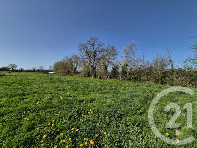 terrain - LOUGE SUR MAIRE - 61