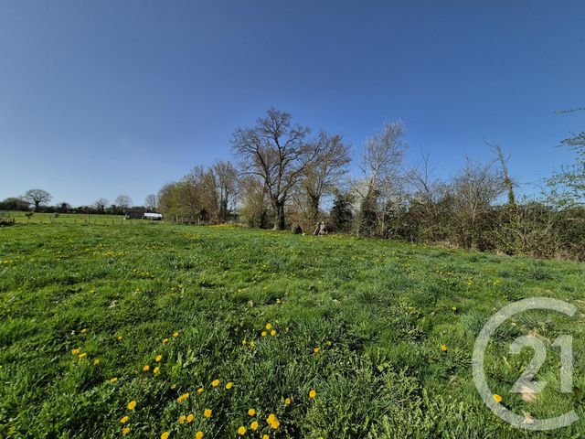 Terrain &agrave; vendre - 1073 m2 - Louge Sur Maire - 61 - BASSE-NORMANDIE