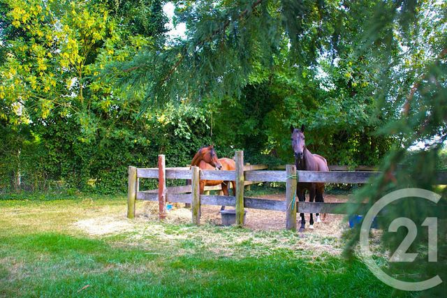 Maison à vendre - 10 pièces - 294 m2 - Trun - 61 - BASSE-NORMANDIE