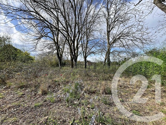 Maison &agrave; vendre - 4 pi&egrave;ces - 116 m2 - Argentan - 61 - BASSE-NORMANDIE