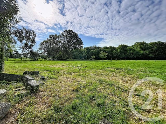 Terrain &agrave; vendre - 5260 m2 - St Sauveur De Carrouges - 61 - BASSE-NORMANDIE