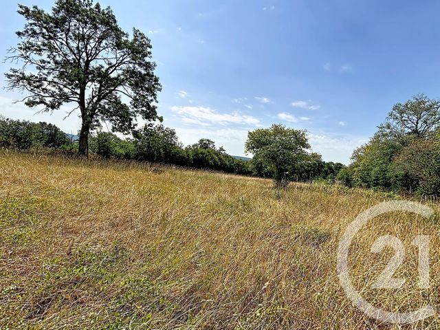 Maison &agrave; vendre - 9 pi&egrave;ces - 188,95 m2 - Le Cercueil - 61 - BASSE-NORMANDIE