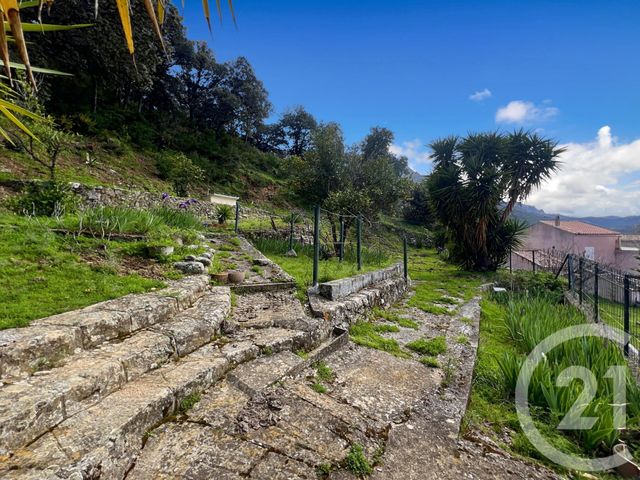 Maison à vendre - 6 pièces - 108,08 m2 - Zilia - 202 - CORSE