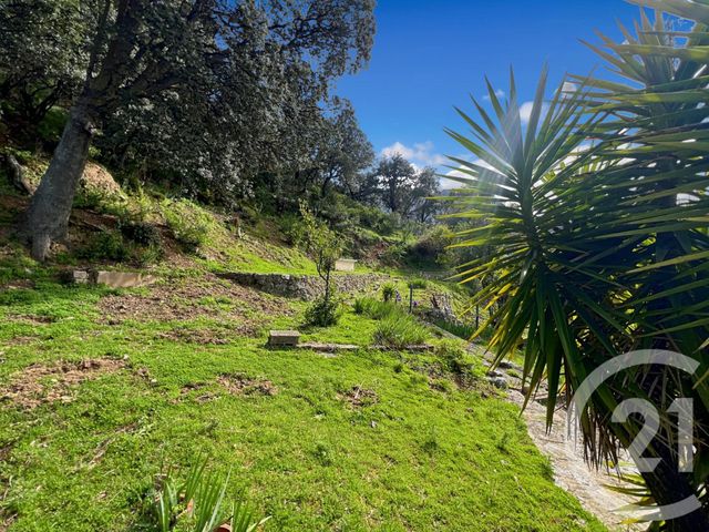 Maison à vendre - 6 pièces - 108,08 m2 - Zilia - 202 - CORSE
