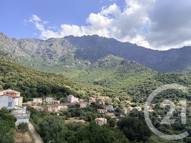 Appartement Studette &agrave; vendre - 1 pi&egrave;ce - 18,08 m2 - Zilia - 202 - CORSE