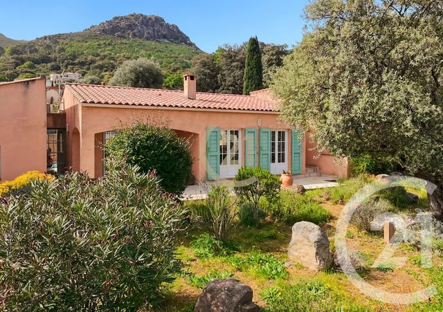Maison &agrave; vendre - 7 pi&egrave;ces - 156,50 m2 - Calenzana - 202 - CORSE