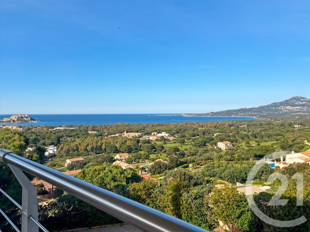 Maison à vendre - 20 pièces - 502 m2 - Calvi - 202 - CORSE