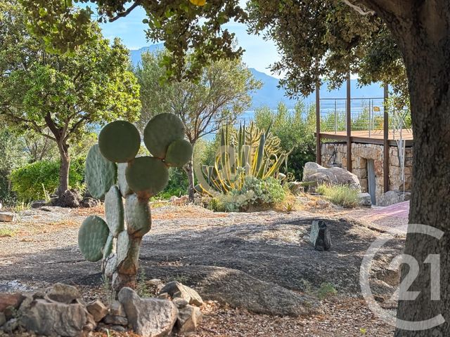 Maison à vendre - 5 pièces - 146 m2 - Lumio - 202 - CORSE