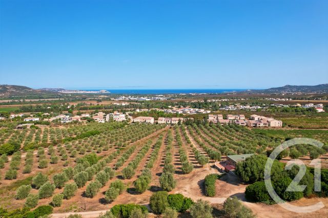 maison - CALENZANA - 202