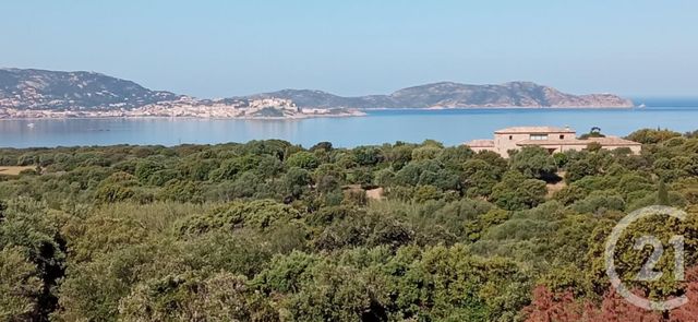 appartement - LUMIO - 202