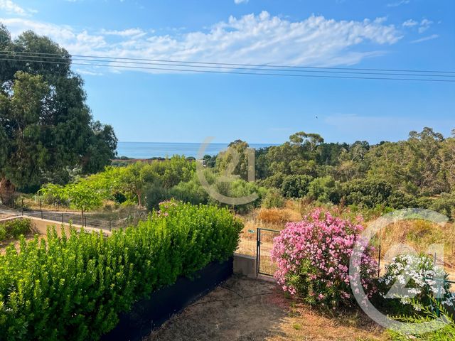 Maison à vendre - 5 pièces - 111 m2 - Belgodere - 202 - CORSE