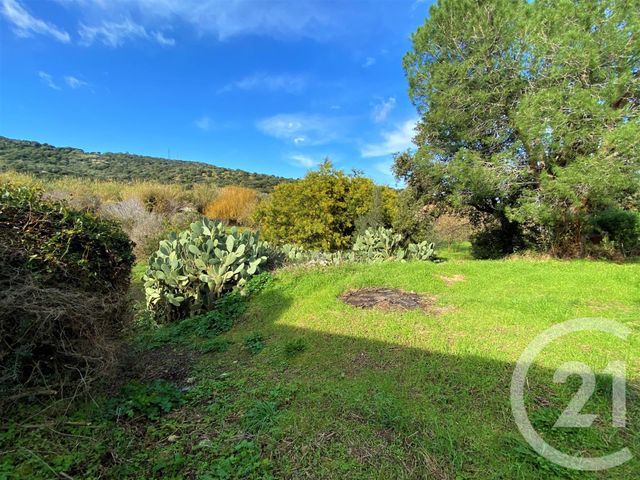 Terrain &agrave; vendre - 3370 m2 - Santa Reparata Di Balagna - 202 - CORSE