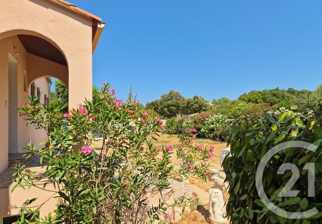 Maison &agrave; vendre - 9 pi&egrave;ces - 282 m2 - Lumio - 202 - CORSE