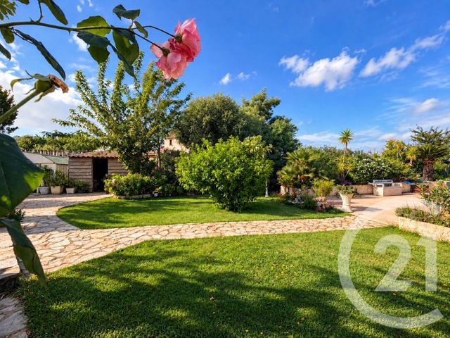 Maison &agrave; vendre - 8 pi&egrave;ces - 200,62 m2 - Calenzana - 202 - CORSE