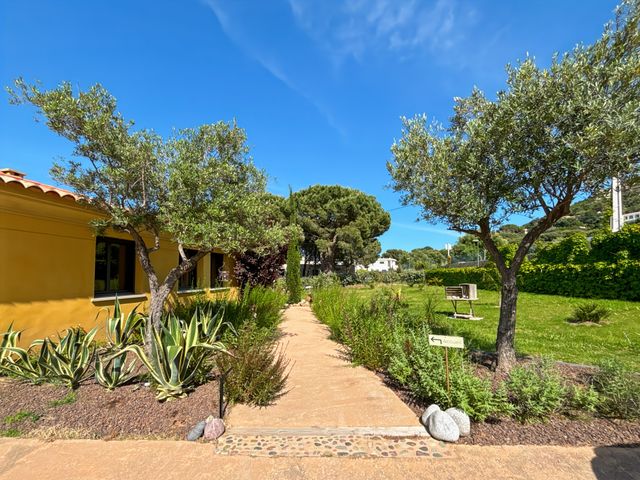 Maison &agrave; vendre - 7 pi&egrave;ces - 215 m2 - Calvi - 202 - CORSE