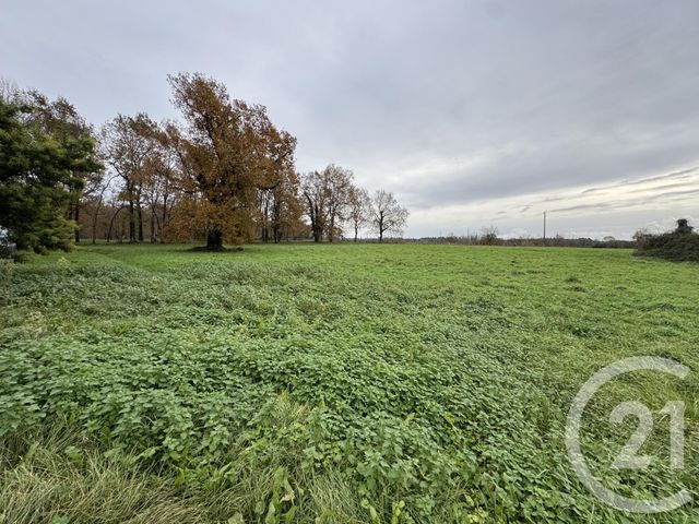 Maison à vendre - 5 pièces - 202 m2 - Tizac De Lapouyade - 33 - AQUITAINE