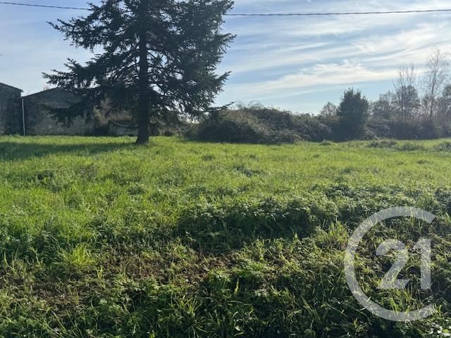 Terrain &agrave; vendre - 418 m2 - St Genes De Fronsac - 33 - AQUITAINE