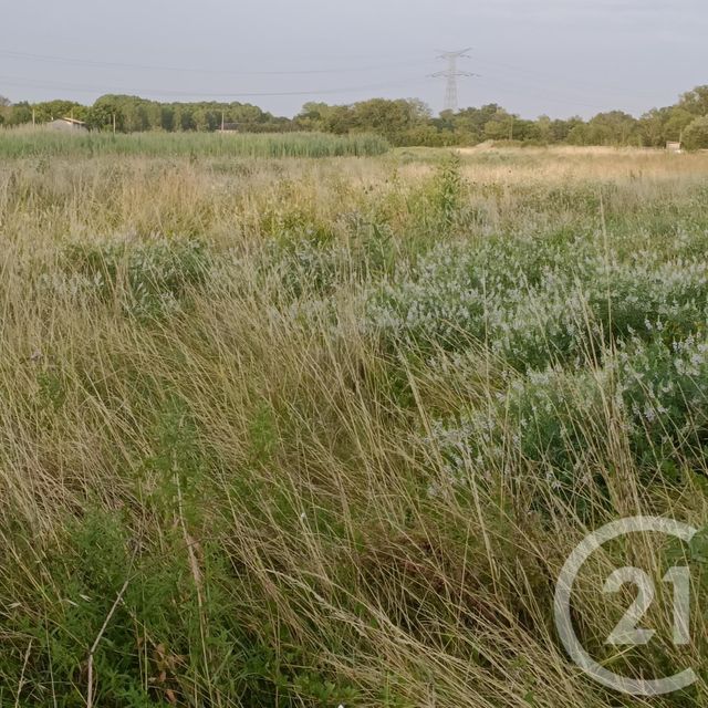 Terrain à vendre - 5625 m2 - St Loubes - 33 - AQUITAINE