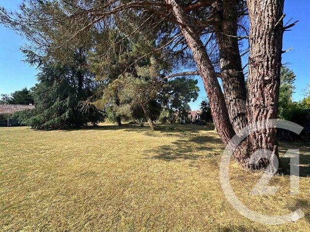 Terrain &agrave; vendre - 1812 m2 - Berson - 33 - AQUITAINE