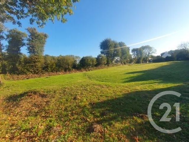 terrain - STE ANNE D AURAY - 56