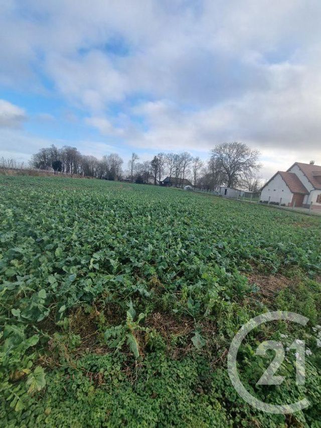 Terrain &agrave; vendre - 1318 m2 - Froissy - 60 - PICARDIE