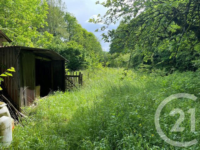 Terrain &agrave; vendre - 10435 m2 - Longwy - 54 - LORRAINE