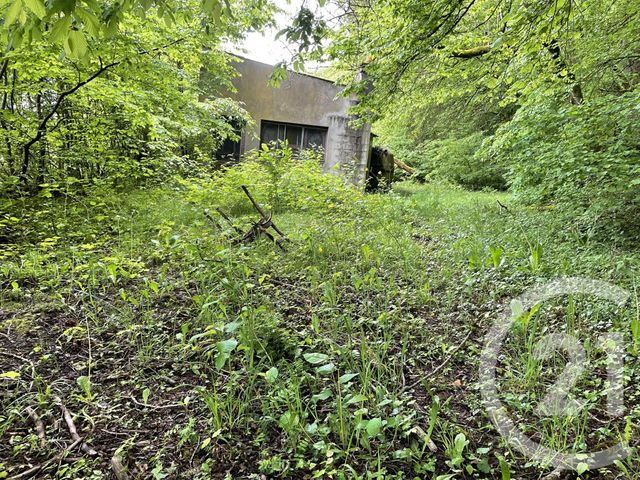 Terrain &agrave; vendre - 10435 m2 - Longwy - 54 - LORRAINE