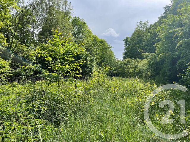 Terrain &agrave; vendre - 10435 m2 - Longwy - 54 - LORRAINE