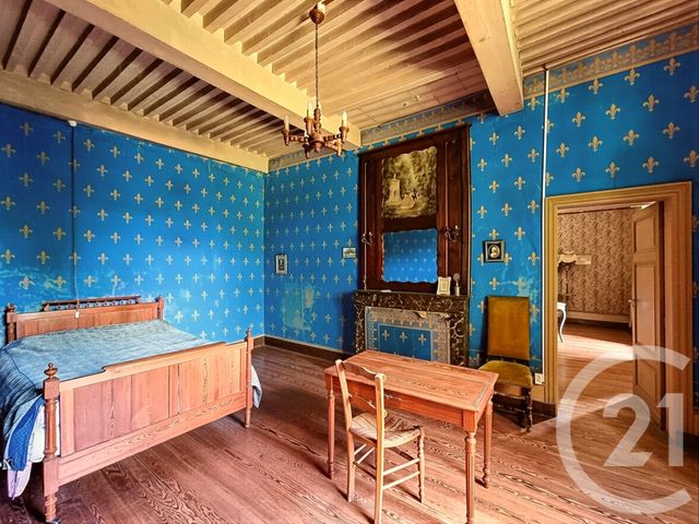 Maison &agrave; vendre - 15 pi&egrave;ces - 457,53 m2 - Eyzin Pinet - 38 - RHONE-ALPES