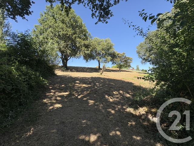 Terrain &agrave; vendre - 2928 m2 - Lescure D Albigeois - 81 - MIDI-PYRENEES