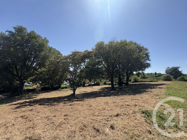 Terrain &agrave; vendre - 2928 m2 - Lescure D Albigeois - 81 - MIDI-PYRENEES