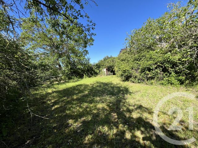 Maison à vendre - 5 pièces - 470 m2 - Labessiere Candeil - 81 - MIDI-PYRENEES