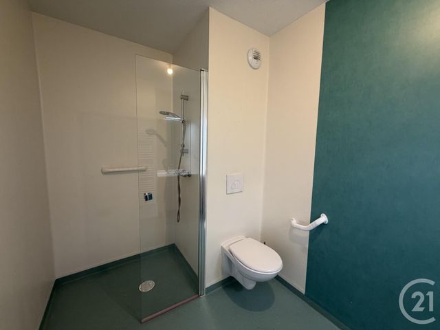 Appartement T3 &agrave; louer - 3 pi&egrave;ces - 53,55 m2 - Albi - 81 - MIDI-PYRENEES