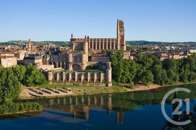 Appartement T1 &agrave; louer - 1 pi&egrave;ce - 20 m2 - Albi - 81 - MIDI-PYRENEES