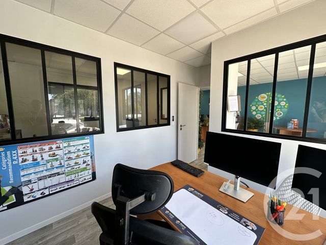 Immeuble &agrave; vendre - 250 m2 - Albi - 81 - MIDI-PYRENEES