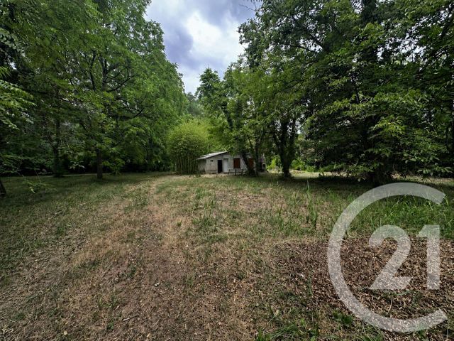Terrain &agrave; vendre - 11849 m2 - Albi - 81 - MIDI-PYRENEES