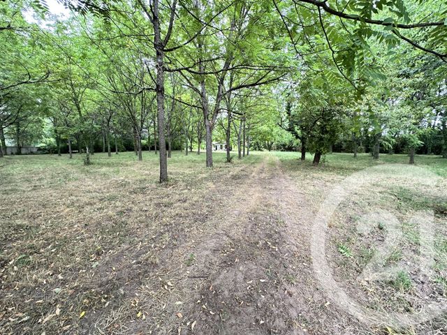 Terrain &agrave; vendre - 11849 m2 - Albi - 81 - MIDI-PYRENEES