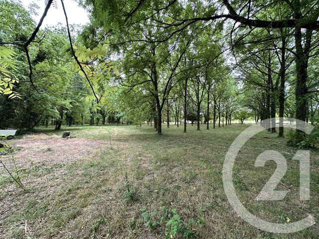 Terrain &agrave; vendre - 11849 m2 - Albi - 81 - MIDI-PYRENEES