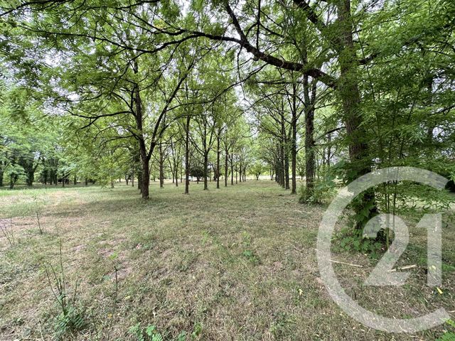 Terrain &agrave; vendre - 11849 m2 - Albi - 81 - MIDI-PYRENEES