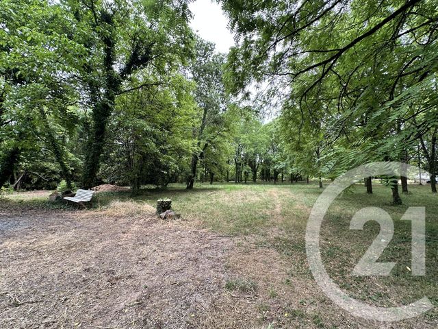 Terrain &agrave; vendre - 11849 m2 - Albi - 81 - MIDI-PYRENEES