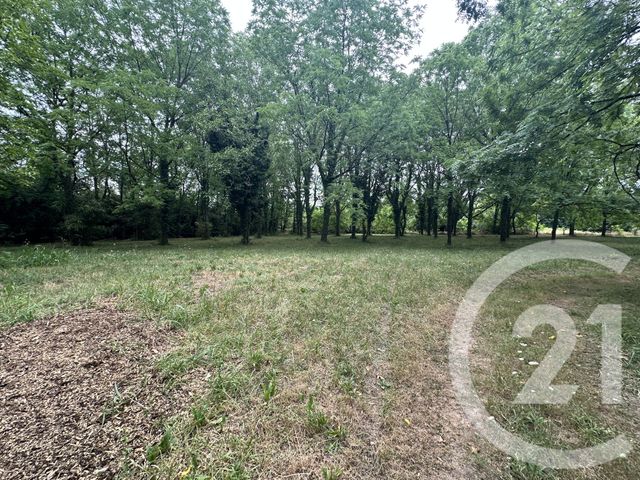 Terrain &agrave; vendre - 11849 m2 - Albi - 81 - MIDI-PYRENEES