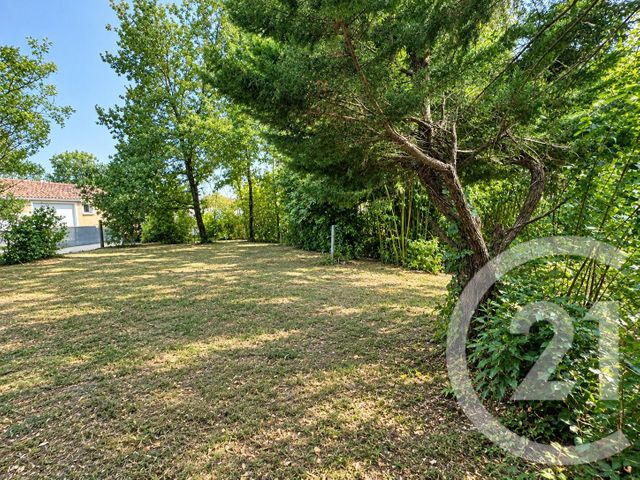 Terrain &agrave; vendre - 493 m2 - Gaillac - 81 - MIDI-PYRENEES